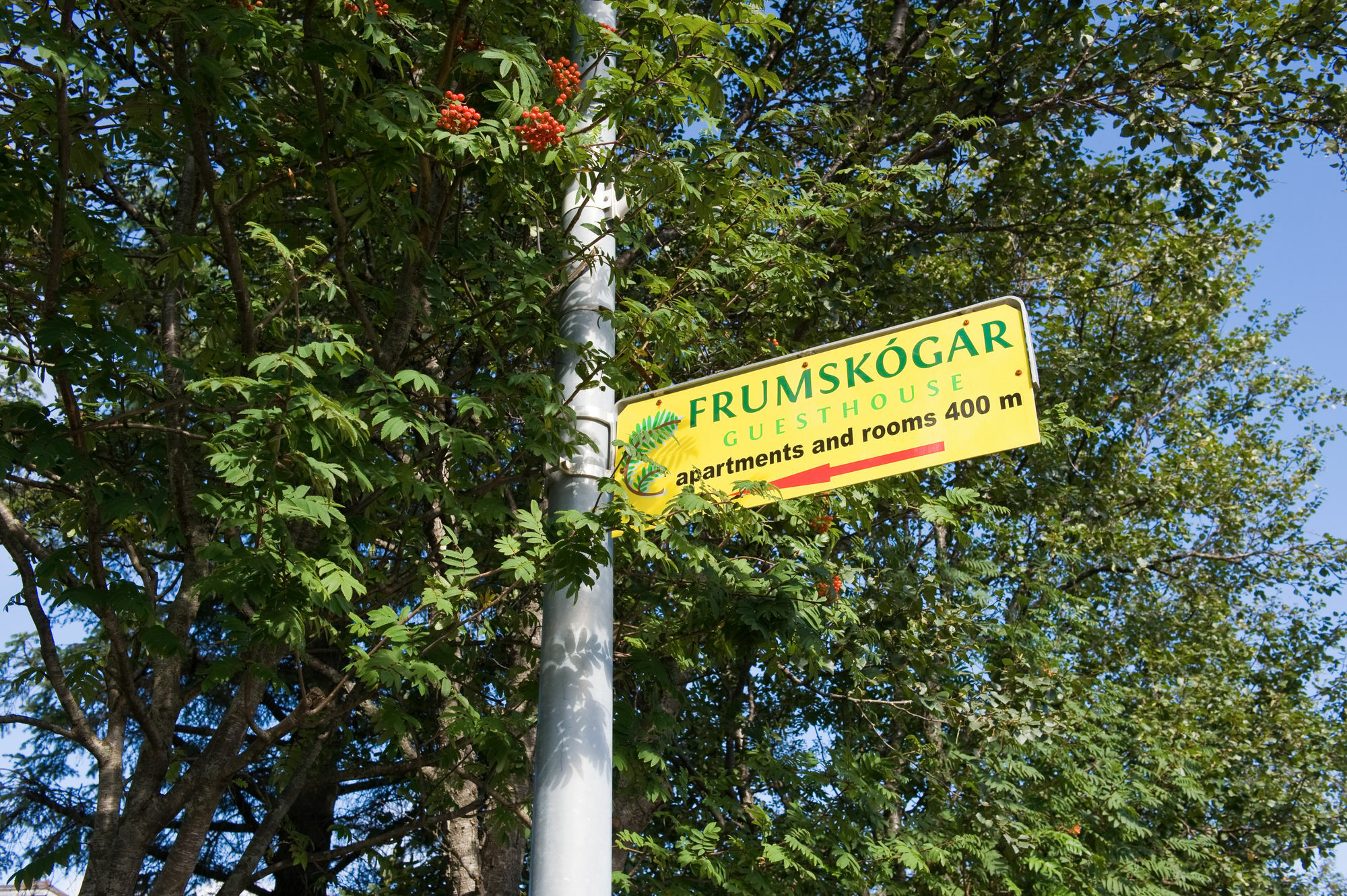 Frumskogar Guesthouse & Apartments 惠拉盖尔济 外观 照片